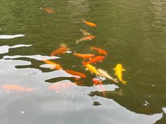 -龙潭大峡谷