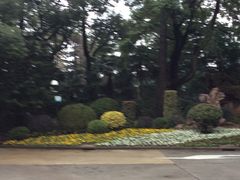 -上海虹桥迎宾馆