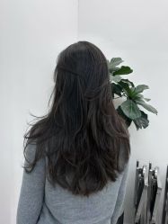 -Hair Code芭曲发型