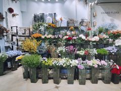 -ChaKo Flora ·茶子花艺 (市北店)