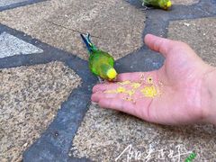 -南宫五洲植物乐园