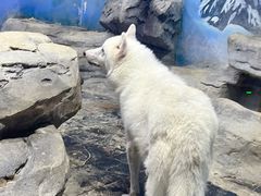 -梦幻海洋王国(吾悦广场张家港店)