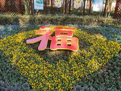 -上海方塔园