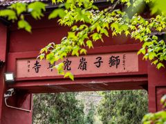 -南京老山国家森林公园
