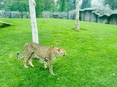 -北京野生动物园