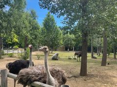 -大连森林动物园