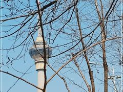 -中央广播电视塔