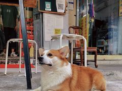 -小梁哥云吞面(黄贝岭店)