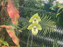 -国家植物园南园