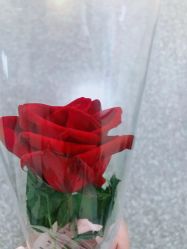 -时尚妈咪产后修复中心