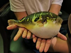 -永安鱼庄·镇江菜(东吴路店)