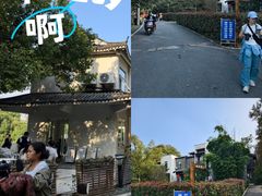 -青龙山国家森林公园