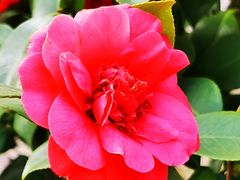 -玄武湖景区-情侣园游乐场