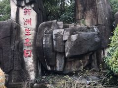 -新洲生态园