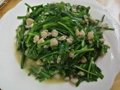 韭菜蚬肉-大莲湖农家乐(青西郊野公园店)
