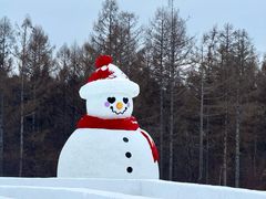 -长白山华美胜地滑雪场