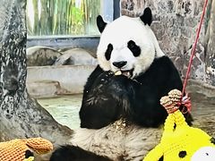 -海南热带野生动植物园
