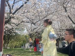 -堤角公园