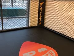 -体育科代表搏击散打体能训练馆(陶然亭店)