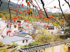 -塔川景区