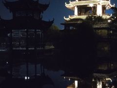 -桂湖森林公园