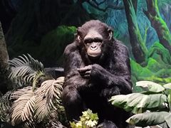 -国家自然博物馆