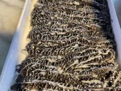 -正福居老北京正宗铜锅泉水涮肉(彰化路店)