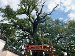 -新安江山水画廊风景区