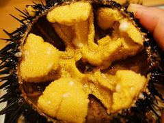 生海胆-海胆小馆(东北水饺·春柳店)