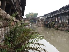 -乌镇东栅景区