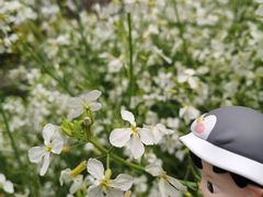 -南汇桃花村