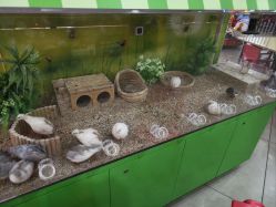 -童梦园主题乐园(天津泉汇购物广场店)