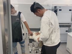 -comecome来吧宠物(奥克斯中心店)