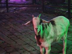 -海拉尔蒙古包(房山长阳店)