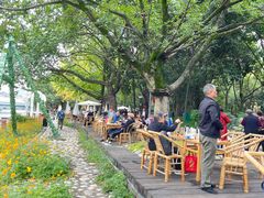 -成都市活水公园