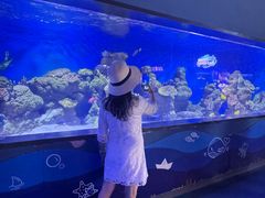 -重庆欢乐海底世界