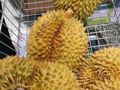 -坂田天虹