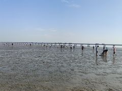 -南汇新城海滩