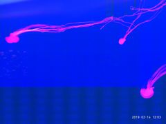 -多彩贵州城极地海洋世界