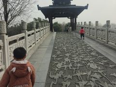 -东湖落雁景区