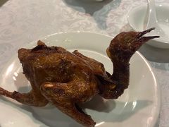 -琬苑鸽庄·川粤融合菜(解放碑总店)