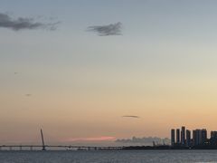 -深圳湾公园(南山区)