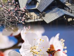 -九如山休闲旅游度假区