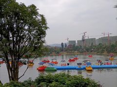 -枫香湖儿童公园