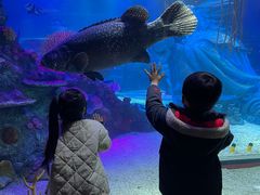 -沈阳海洋探索中心