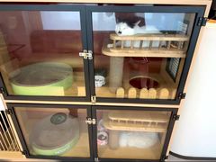 -御宝贝·A梦猫科宠物医院(国际猫友好医院)
