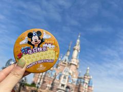 -上海迪士尼度假区