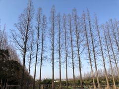 -前小桔亲子创意农场·草莓采摘·露营烧烤