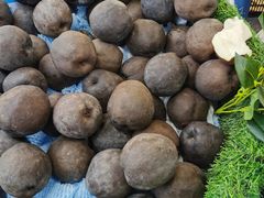 -南宁国际会展中心(会展东博文化旅游区)