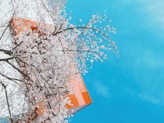 -西安创业咖啡街区